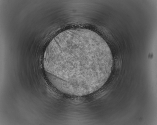 X0000088871060200707061343