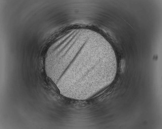 X0000088871062200707061342