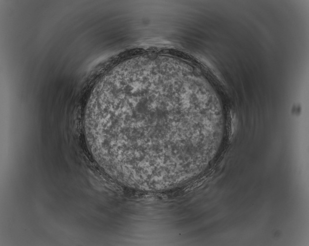 X0000088871063200707061342