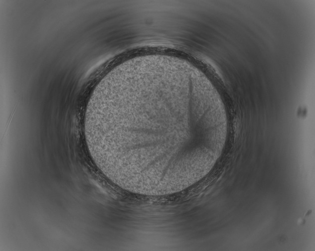 X0000088871064200707061342