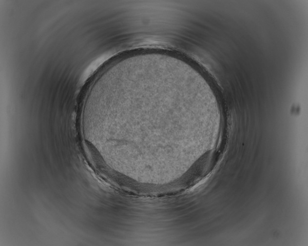 X0000088871066200707061342