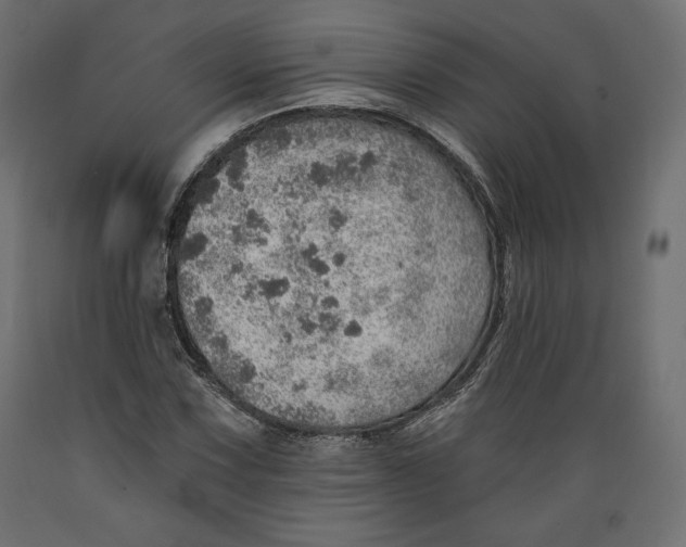 X0000088871067200707061342