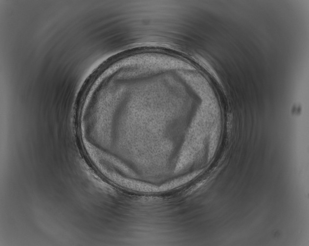 X0000088871068200707061342