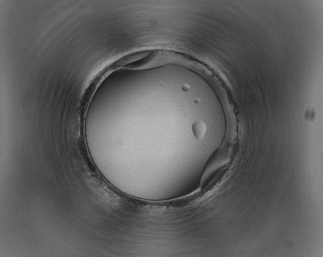 X0000088871069200707061342