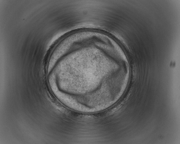 X0000088871070200707061342