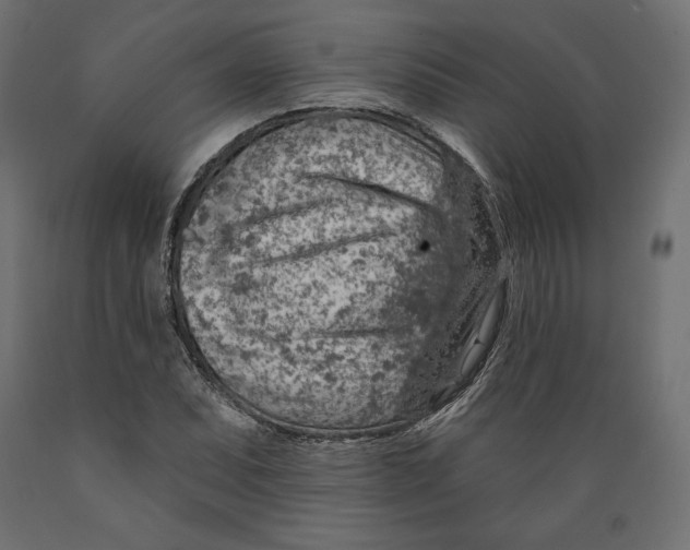 X0000088871071200707061342