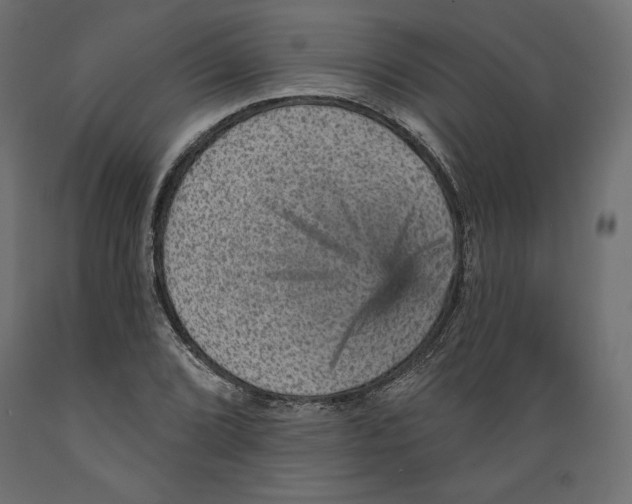 X0000088871072200707061342