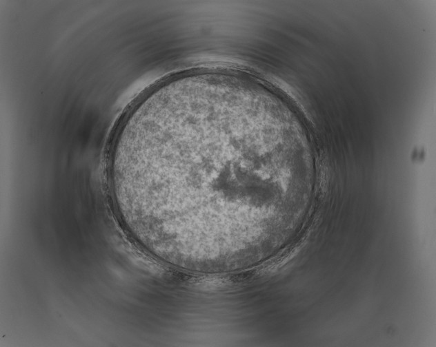 X0000088871074200707061342