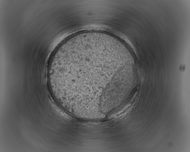 X0000088871075200707061342