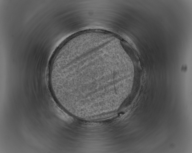 X0000088871076200707061342