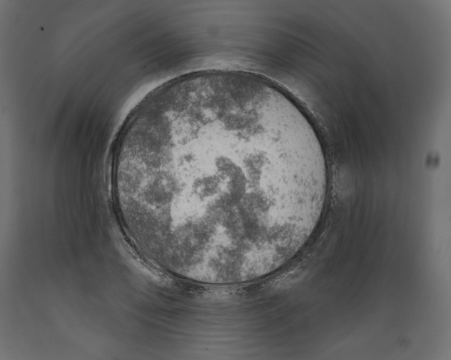 X0000088871078200707061342