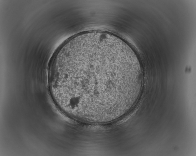 X0000088871079200707061342