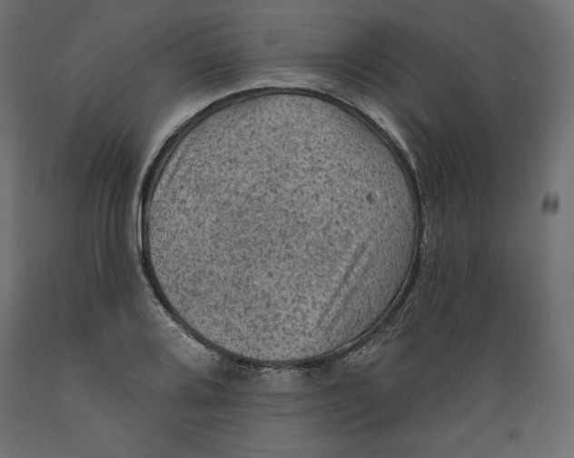 X0000088871080200707061342