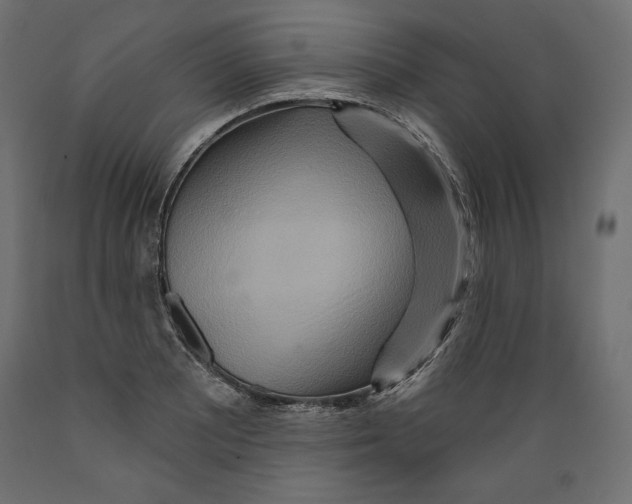 X0000088871081200707061342