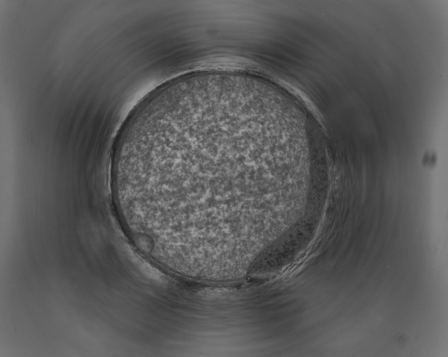 X0000088871083200707061342