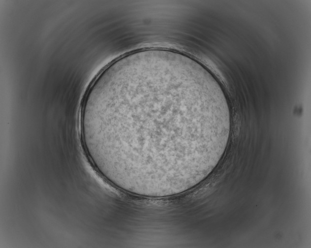X0000088871084200707061342