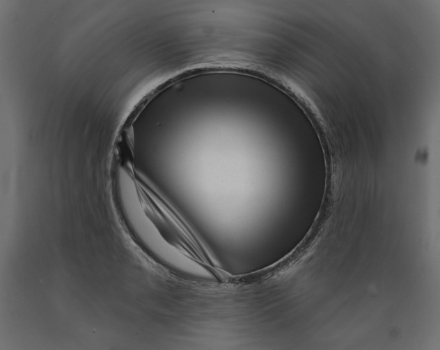 X0000088871085200707061342