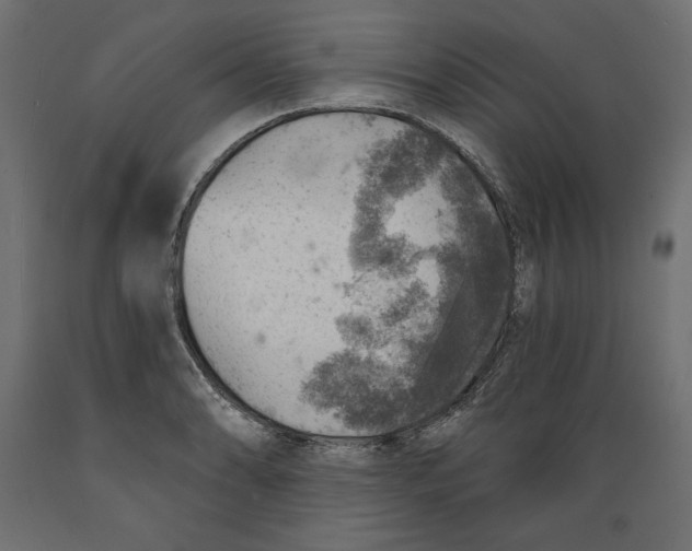 X0000088871086200707061342