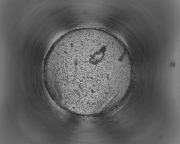 X0000088871087200707061342