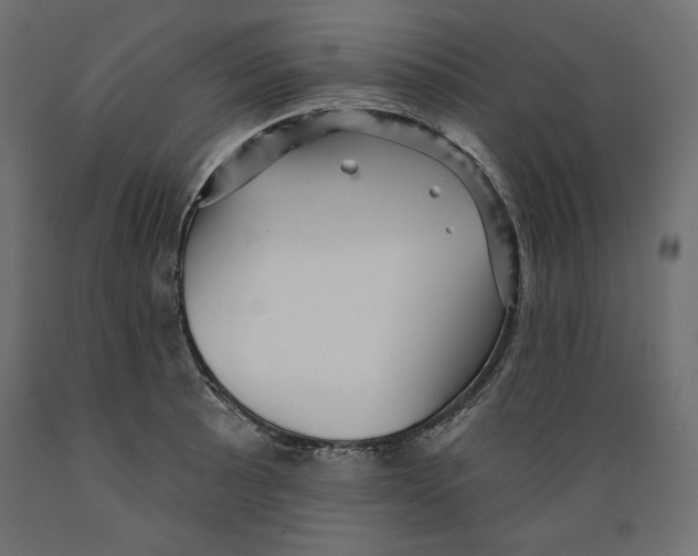 X0000088871089200707061342