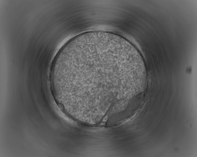 X0000088871091200707061342