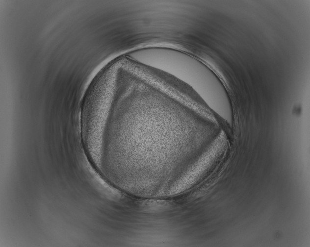 X0000088871092200707061342