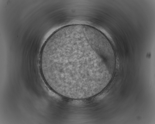 X0000088871094200707061342