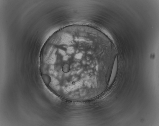 X0000088871095200707061342