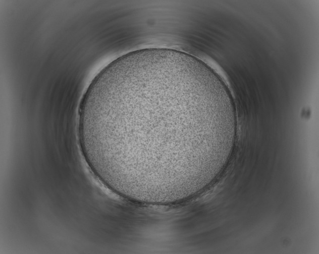 X0000088871096200707061342