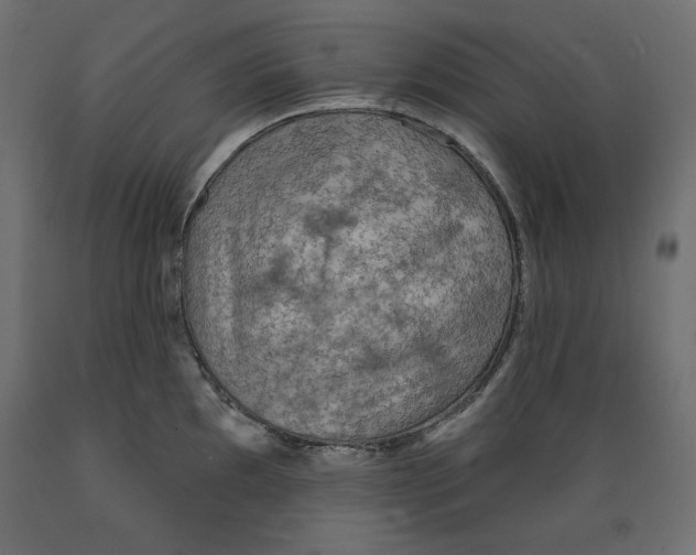 X0000088871097200707061342