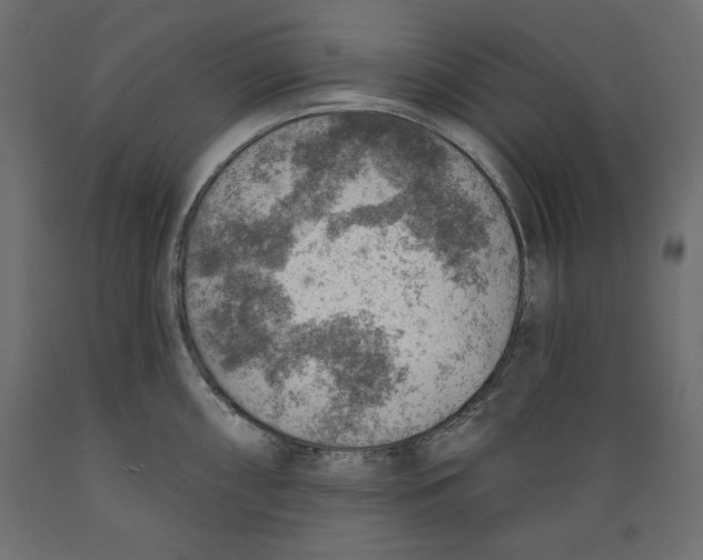 X0000088871098200707061342