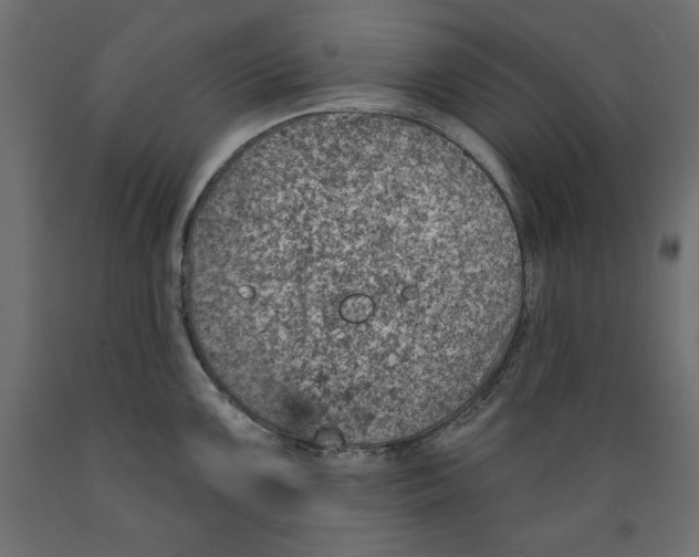 X0000088871099200707061342