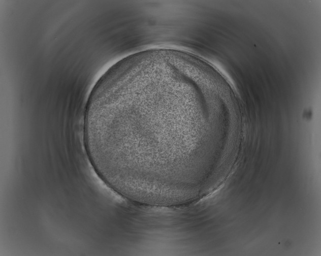 X0000088871100200707061342