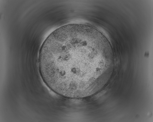 X0000088871103200707061342