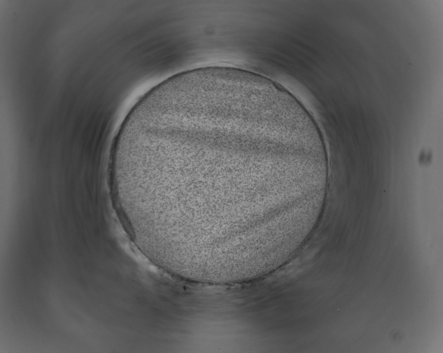 X0000088871104200707061342