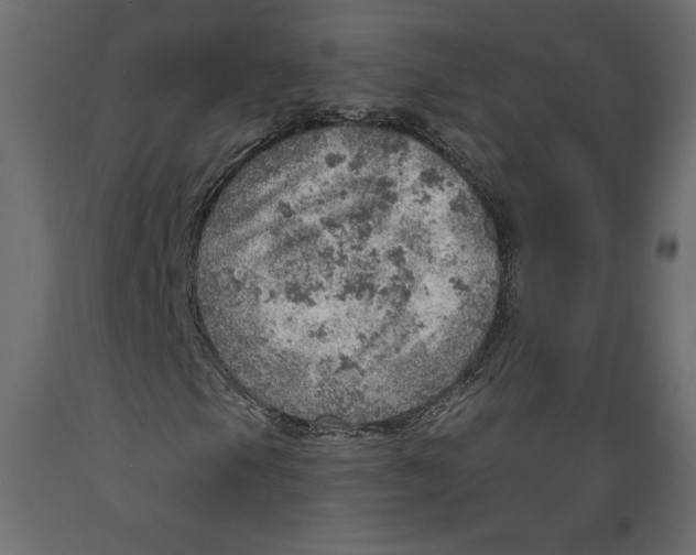 X0000088871105200707061341