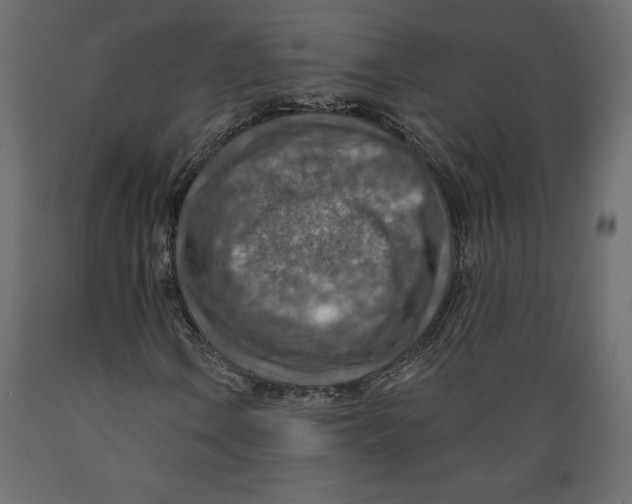 X0000088871106200707061341