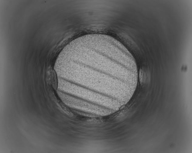 X0000088871107200707061341