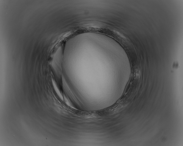 X0000088871108200707061341