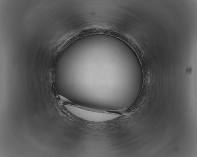 X0000088871110200707061341