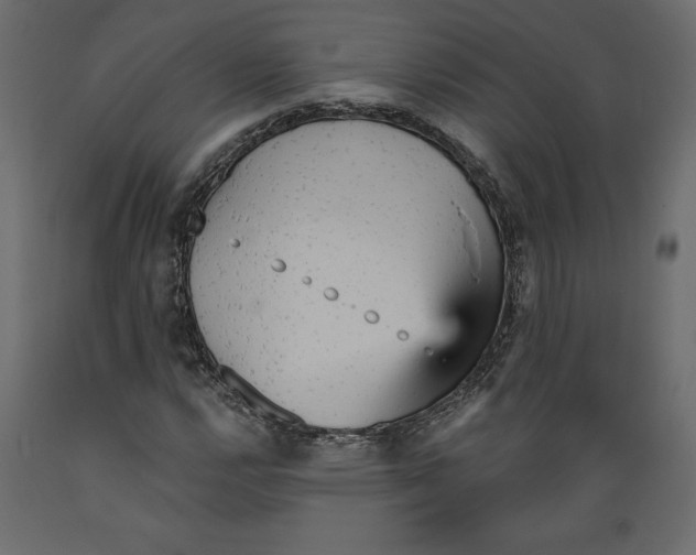 X0000088871112200707061341
