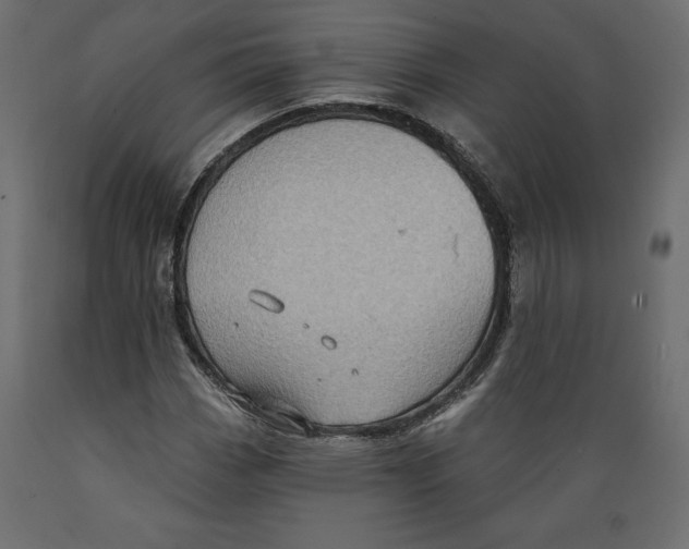 X0000088871113200707061341