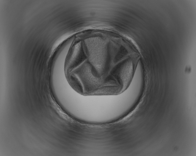 X0000088871114200707061341