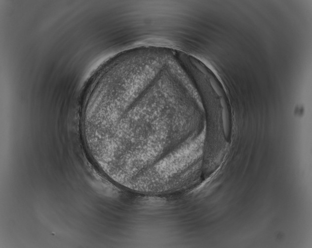 X0000088871115200707061341
