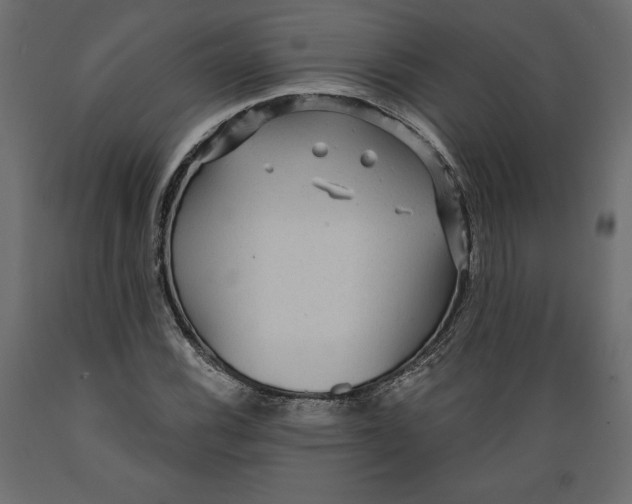 X0000088871116200707061341