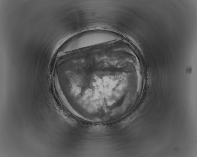 X0000088871117200707061341