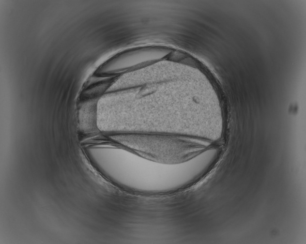 X0000088871118200707061341