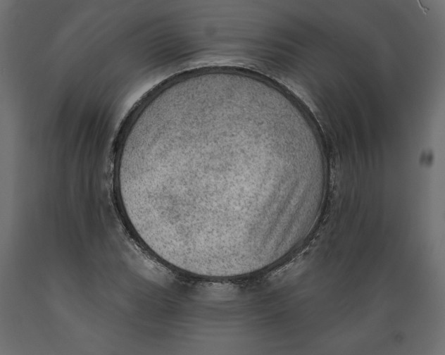 X0000088871119200707061341