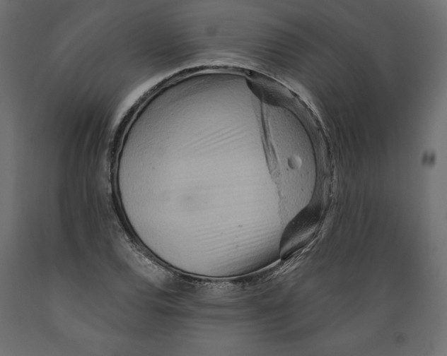 X0000088871120200707061341