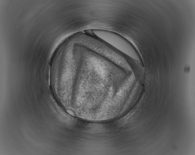 X0000088871123200707061341